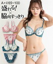 ブラジャー＆ショーツセット ニッセン 脇高 アンティークレース ブラジャー ショーツ セット 女性 下着 レディース ブラショーツ セット 盛り 小胸 谷間 (G70/M-I80/L)