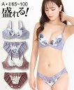 ブラジャー＆ショーツセット ニッセン エレガントフラワープリントレース ブラジャー ショーツ セット 女性 下着 レディース ブラショーツ 盛り 小胸 谷間 (A65/M-D80/L)