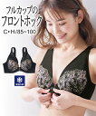 ブラジャー 大きいサイズ ニッセン アンダー調節機能付 フロントホック フルカップブラジャー 超 冷感 女性 下着 レディース ブラジャー ブラ (E85-F100)