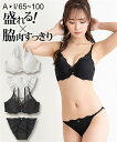 ブラジャー＆ショーツセット ニッセン 脇高 グロッシー レース ブラジャー ショーツ セット 女性 下着 レディース ブラショーツ 盛り 小胸 谷間 セクシー (E70/M-F80/L)