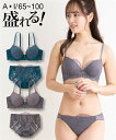 ブラジャー＆ショーツセット ニッセン コードフラワー ブラジャー ショーツ セット (ソフトワイヤータイプ) 女性 下着 レディース ブラショーツセット (A65/M-D80/L)