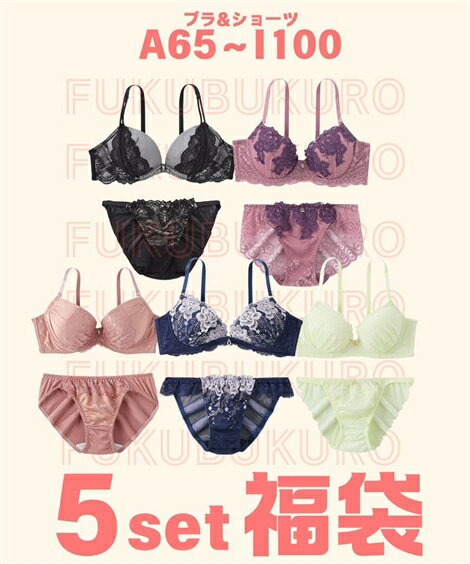 ブラショーツセット ニッセン お買い得 おまかせ 福袋 ブラジャー ショーツ 5セット組 女性 下着 レディース 福袋 お買い得 ブラショーツ セット (A65/M-F75/L)のサムネイル