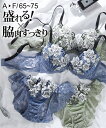 ブラショーツセット ニッセン 脇高 3/4 モールドカップ ブラジャー バックレース ショーツ セット 女性 下着 レディース ブラショーツ セット (A70/M-F75/L)