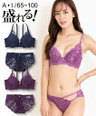 ブラジャー＆ショーツセット ニッセン 大きいサイズ ローズ柄総レース ブラジャー ショーツ セット 女性 下着 レディース ブラショーツセット 小胸 谷間 (B85/LL-F100/5L)