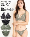 ブラジャー＆ショーツセット ニッセン 大きいサイズ 脇高 フルカップ風 ラグジュアリーデザイン ブラジャー ショーツ セット 女性 下着 レディース (F80/L-F100/5L)