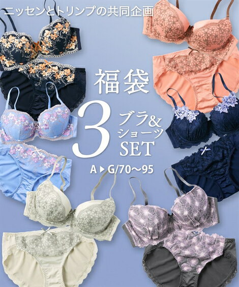 ブラショーツセット (A70/M-G95/4L) ニッセン おまかせ 福袋 ブラジャー ショーツ 3セット組 ( トリンプ ) 女性 下着 レディース ブラショーツ まとめ買い 可愛いのサムネイル