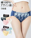 ショーツ S M L LL 3L ニッセン 綿100% 刺しゅうレース レギュラーショーツ 5枚組 女性 下着 レディース ショーツ セット 可愛い 綿 コットン 綿100(4)