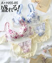 ブラショーツセット (A70/M-H85/LL) ニッセン ウォーターリリー ブラショーツセット 女性 下着 レディース ブラジャー ショーツ セット 盛り 小胸 谷間 可愛い