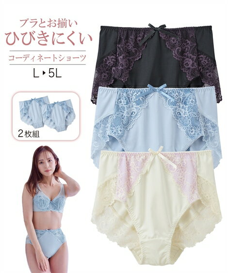 ショーツ(パンツ) L LL 3L 4L 5L 大きいサイズ ニッセン 深ばき バックレース コーデ