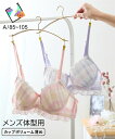 トランス女性・トランス男性下着インナー (A85-A105) 大きいサイズ ニッセン 【MTF】 チェック柄 フリル MTF 脇高 ブラジャー LGBT トラン...