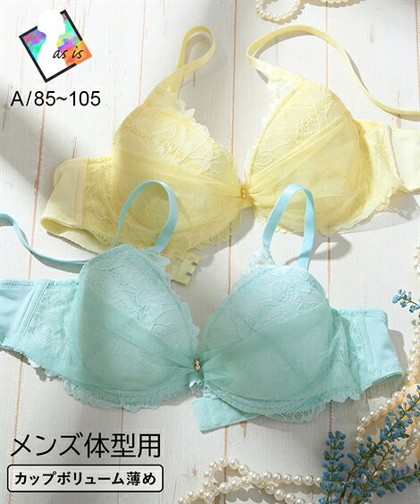下着 インナー (A85-A105) 大きいサイズ ニッセン 【MTF】 脇高 ヴェールレーシー MTF ブラジャー LGBT..