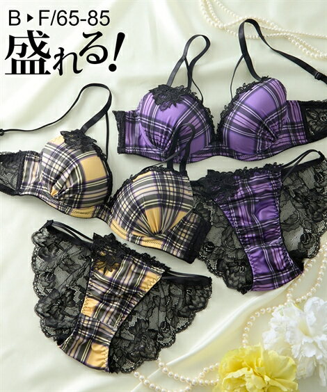【期間限定クーポン配布中】ブラショーツセット (B65/M-F85/LL) ニッセン フォルセナチェック ブラジャー ショーツ セット 女性 下着 レディース