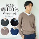 トップス セーター 洗える 綿100% Vネック セーター 12ゲージ M-10Lサイズ 大きいサイズ メンズ ニッセン nissen
