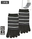 靴下 ソックス 吸汗速乾 メッシュ編み ボーダー柄 5本指 スニーカー丈 2足組 24-26cm メンズ ニッセン nissen(4)