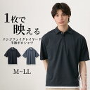 ポロシャツ 杢調ナシジ フェイクレイヤード M-LL メンズ ニッセン nissen