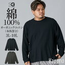 Tシャツ 長袖 綿100% オーガニックコットン 長袖Tシャツ 3L-10L 大きいサイズ メンズ ニッセン nissen