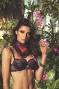 LISE CHARMEL（リズシャルメル）FORET LUMIERE（光の森）ノンパットブラ（Dカップ）