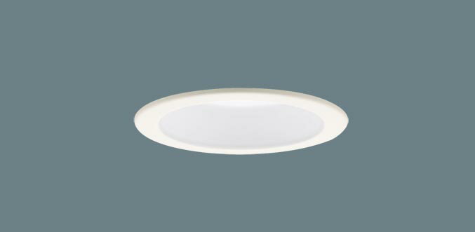 ѥʥ˥å LED 饤 XAD3110NKCE1(LGD9100K+LLD4000MNCE1)100 Ȼ  ŵɬ...