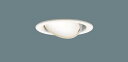 ダウンライト XAD1402LCE1(LGD9400+LLD2000LCE1)(60形)(拡散)(電球色)可動(電気工事必要)Panasonicパナソニック
