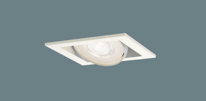 ダウンライト XAD1434LCB1(LGD9402+LLD2020MLCB1)(60形)(集光)(電球色)(調光)可動(電気工事必要)Panasonicパナソニック