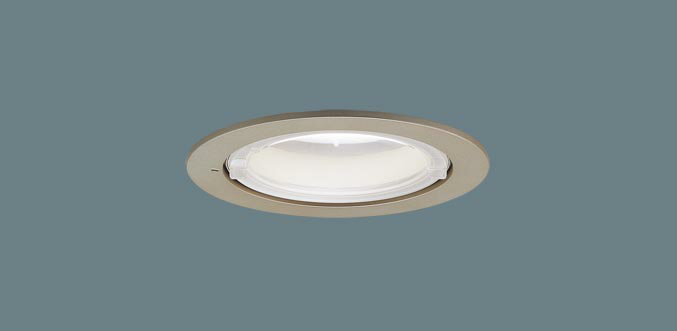軒下用ダウンライト XED3112VCB1(LRD9102+LLD4000MVCB1)(80形)(拡散)(温白色)(電気工事必要)Panasonicパナソニック