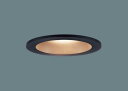 ダウンライト LGD1102LU1 (60形)(調色)拡散(電気工事必要)パナソニックPanasonic