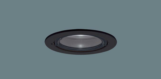 軒下用ダウンライト XED1131NCE1(LRD9101+LLD2020MNCE1)(60形)(集光)(昼白色)(電気工事必要)Panasonicパナソニック