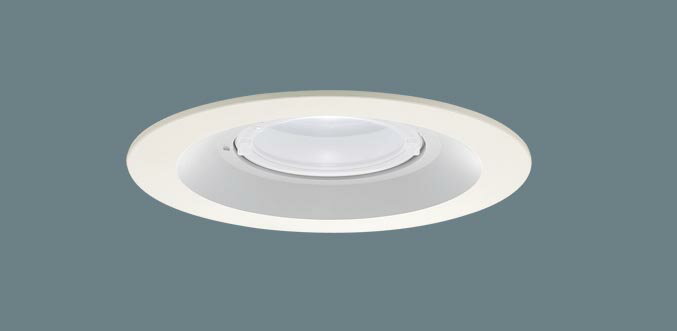 軒下用ダウンライト XED3220NCB1(LRD9200+LLD3020NCB1)(80形)(集光)(昼白色)(電気工事必要)Panasonicパナソニック