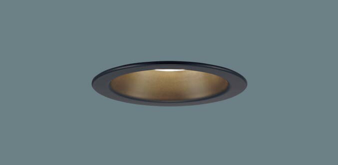 ѥʥ˥å 饤 LRD1109LLE1 LED 60 ŵ忧 Ȼ(ŵɬ) Panasonic