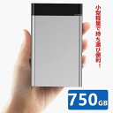 外付けHDD 750GB ポータブル型 4k対応