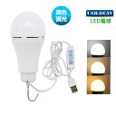 USB LED電球 LED照明 USB LEDライト 電球形 スイッチ付き キャンプライト アウトドア ランタン デスクライト ベッドランプ 車中泊ライト 停電ライト 緊急ライト 倉庫 ショーケース キッチン 照明 撮影補助ライト(2)