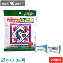 エキナケアのど飴 15粒入 40袋セット 松浦薬業 送料無料 | ノンシュガー のど飴 喉あめ のどあめ 日本製 バンランコン エキナセア 漢方 メントール プ...