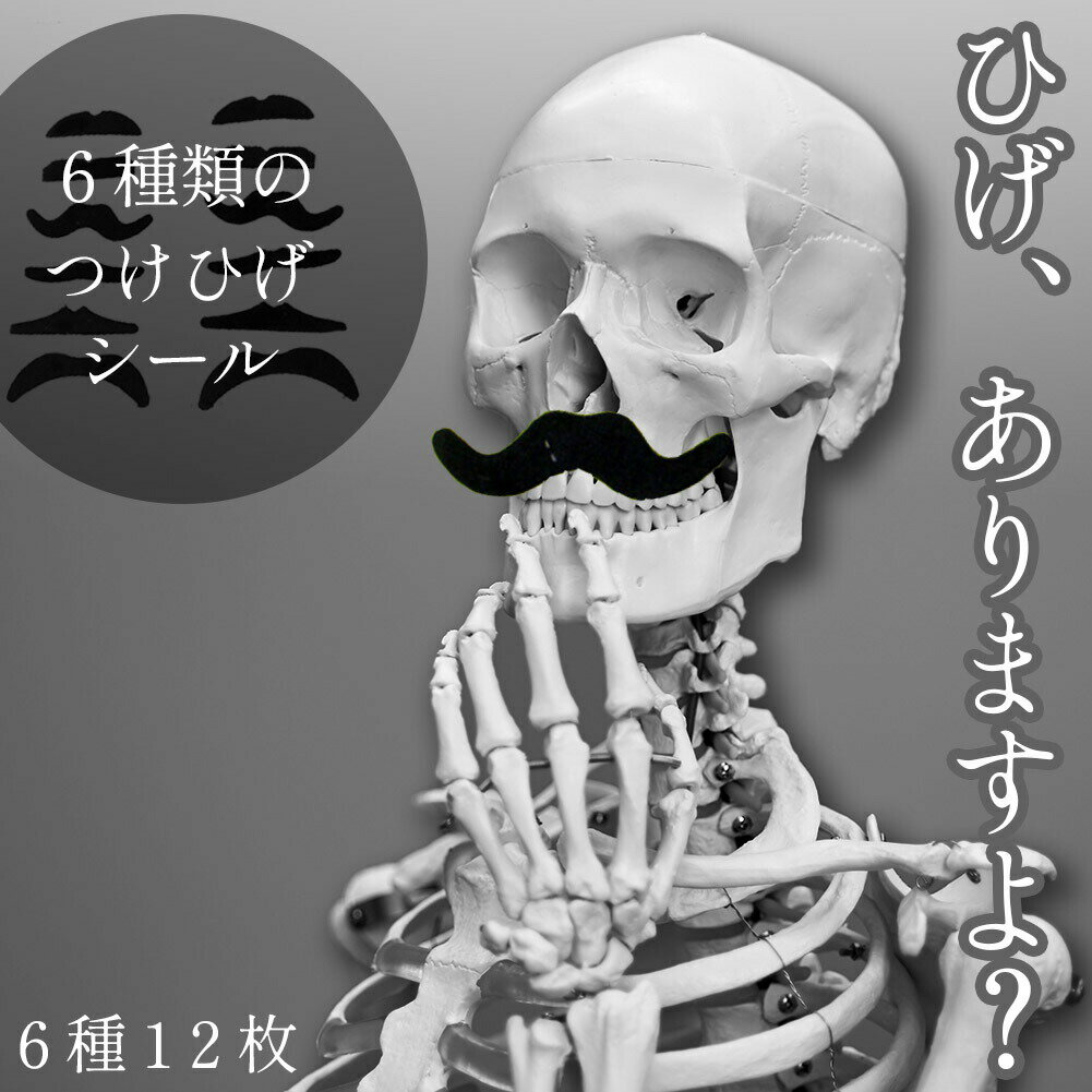 つけひげ シール 6種 1セット12枚 ハロウィン パーティー 仮装 コスプレ ネタ SNS映え 写真 子供 赤ち..