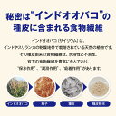 トリプルバリア 5本入×2箱 青りんご味 レモン味 プレーン味 選べる3フレーバー 10日分【日清食品公式】サプリメント サプリ インドオオバコ サイリウム 食物繊維 パウダー 飲み物 血糖値 高血圧 中性脂肪 便通改善機能 機能性表示食品 3