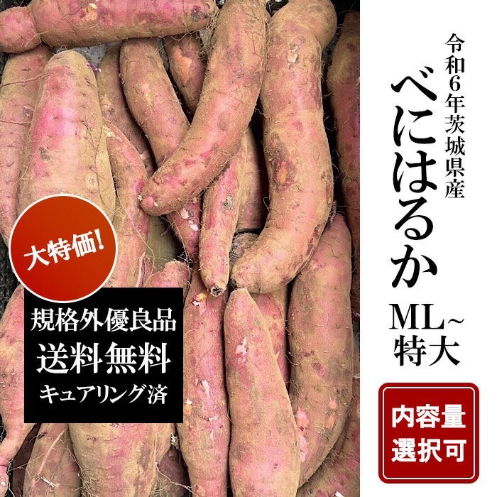 楽天市場】紅はるか 20kgの通販 楽天市場】紅はるか 20kgの通販