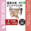 国産冷凍ピンクマウスM 即日発送 同梱可 選べる容量 10匹〜300匹