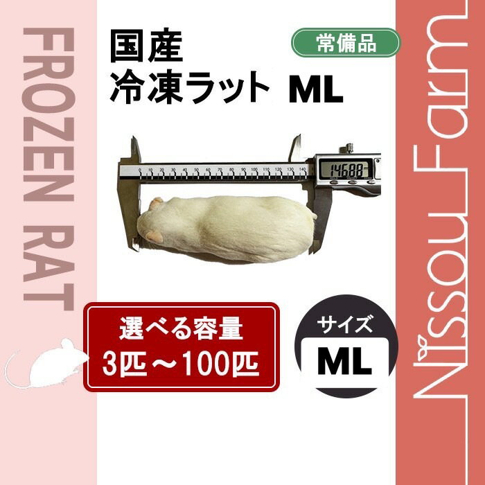 国産冷凍アダルトラットML @140〜160g 即日発送　同梱可　選べる容量 3匹〜100匹