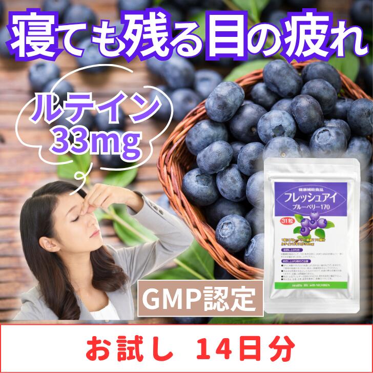 【 お試し 14日分 少量パック 】 フレッシュアイ ブルーベリー 170 ビルベリー ルテイン 33mg アントシ..