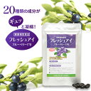 ルテイン 30mg ブルーベリー 黄斑変性 アマニ 目 サプリメント  フレッシュアイ  アントシアニン アスタキサンチン アイケア サプリ 目サプリ ルテインサプリメント ブルーベリーサプリメント 白内障 緑内障 ギフト 子供 パソコン スマホ