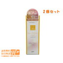 最大1600円クーポン 2個セット 潤滑ゼリー リューブゼリー ホット 55g ジェクス 追跡配送 送料無料