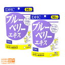 【2個セット 】 DHC ブルーベリーエキス 徳用 90日分 180粒 ブルーベリー サプリメント 健康食品 ディーエイチシー 送料無料