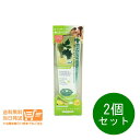 最大1600円クーポン 2個セット デンティス チューブ レモングラスの香り 100g 口臭 歯磨き粉 歯周病 追跡配送 送料無料