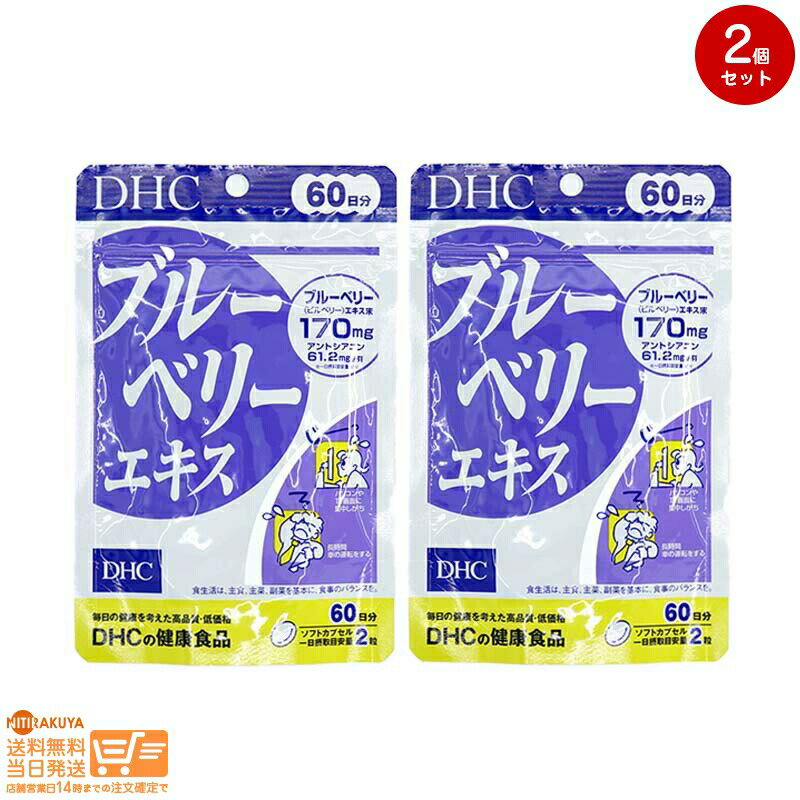 レビュー100円クーポン 【2点セット】DHC ブルーベリーエキス 60日分（120粒入）