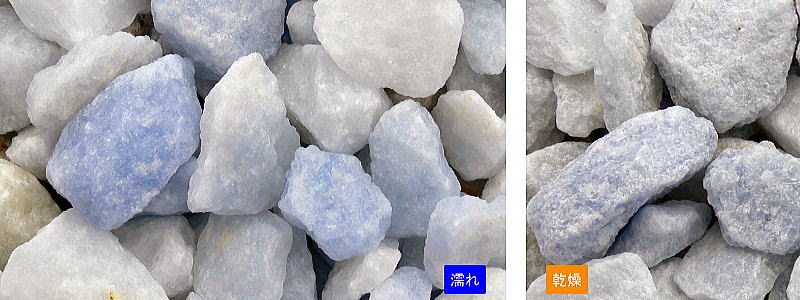 �������� �������� 15kg���ޡ��ޥĥ�Ȼ���