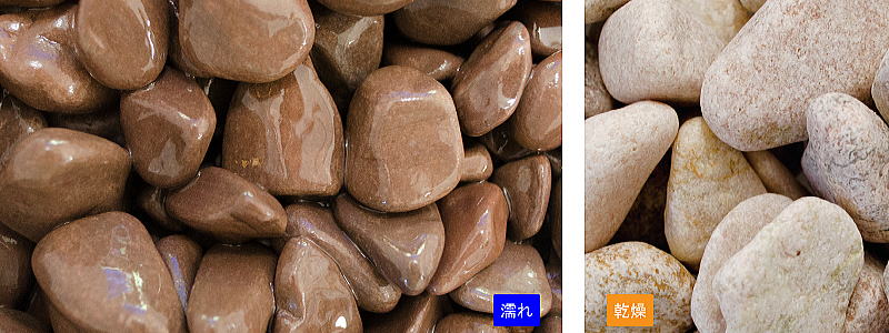 �֥롼�� �������� 15kg���ޡ��ޥĥ�Ȼ���