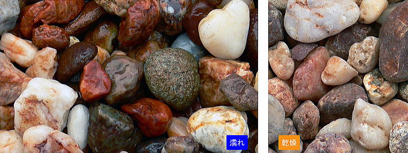 �����꡼���ȡ��� �������� 15kg���ޡ��ޥĥ�Ȼ���