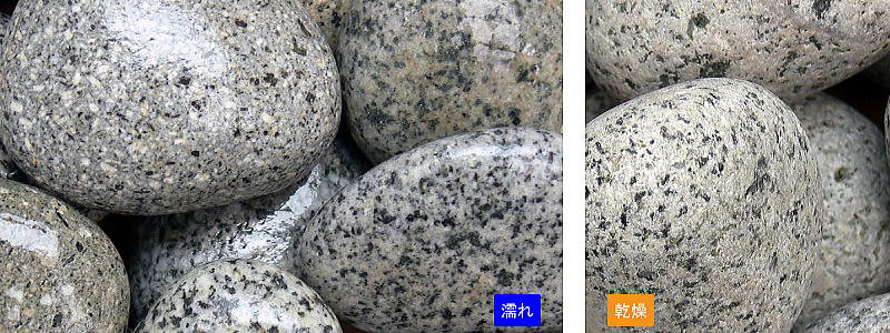 ���ޤ��� ��ޥ������ܶ��� 20kg���ޡ��ޥĥ�Ȼ���