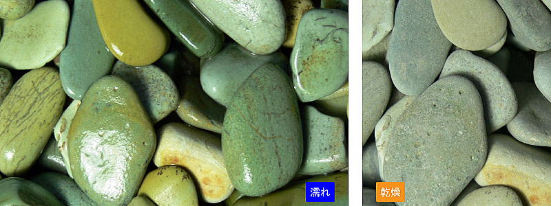 ���꡼�󥹥ȡ��� �������� 15kg���ޡ��ޥĥ�Ȼ���