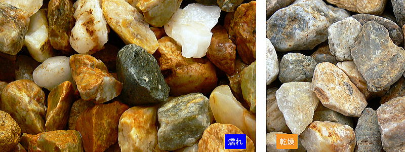 ����ե����顼�� �������� 15kg���ޡ��ޥĥ�Ȼ���