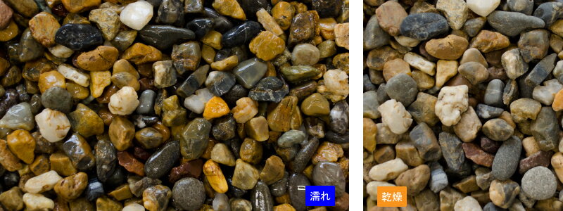 ����(�ʤ��) ��ޥ�ŷ������ 20kg���ޡ��ޥĥ�Ȼ���